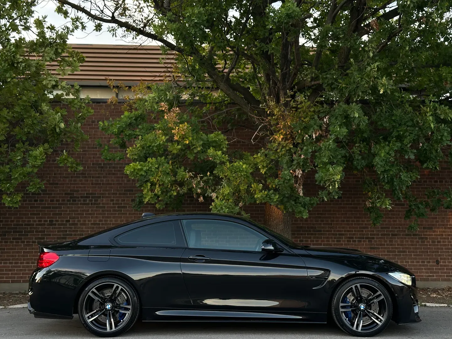 BMW M4 Coupe Dinan Stage 1 Power Kit  — photo 97