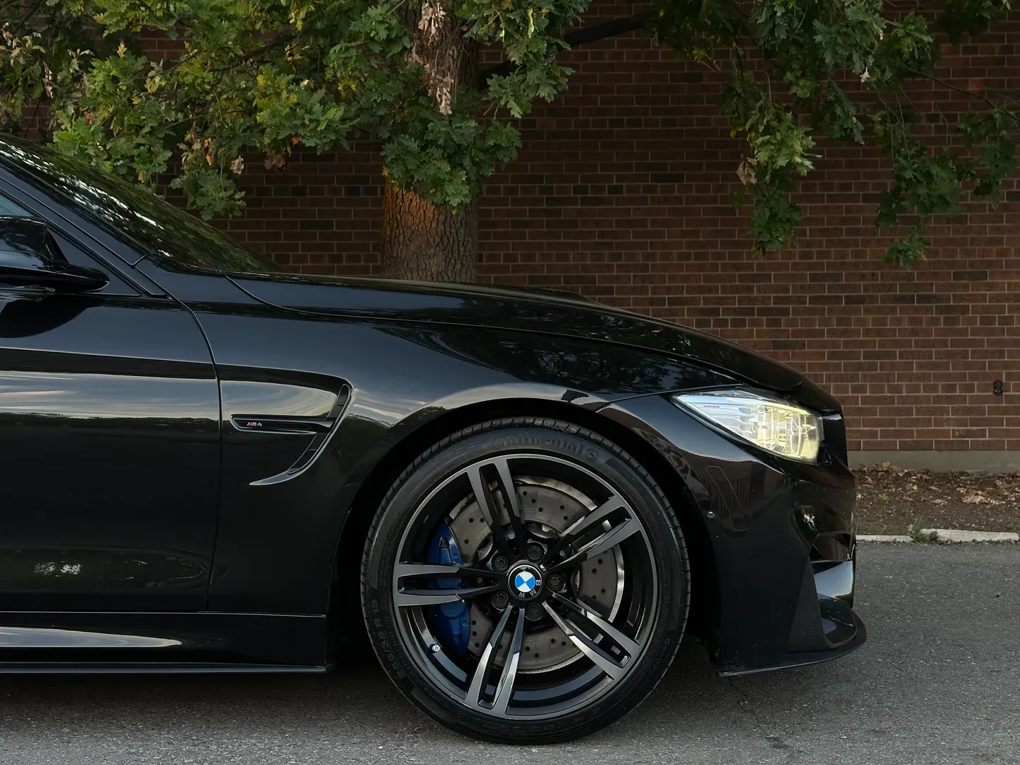 BMW M4 Coupe Dinan Stage 1 Power Kit  — photo 99