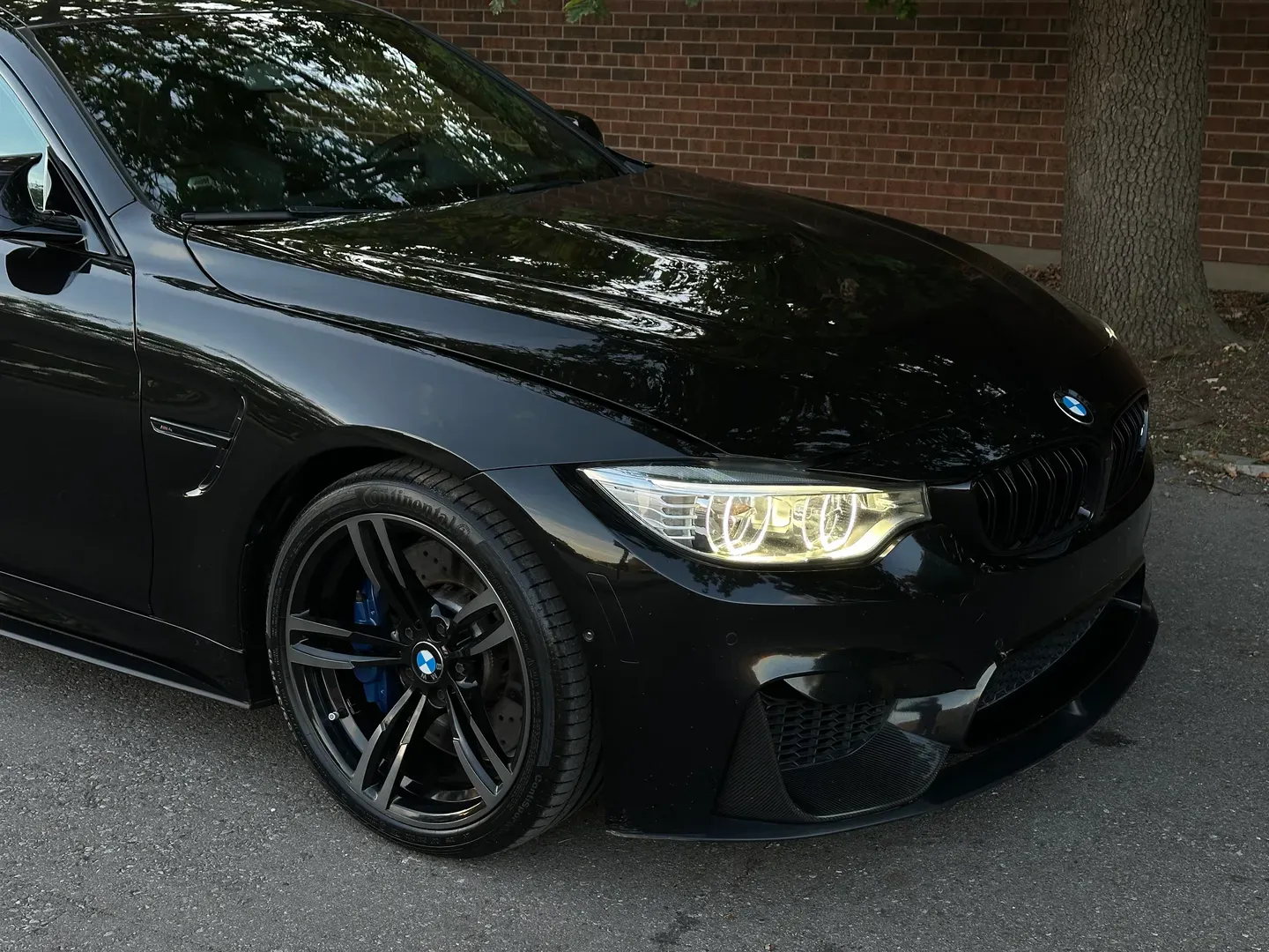 BMW M4 Coupe Dinan Stage 1 Power Kit  — photo 101