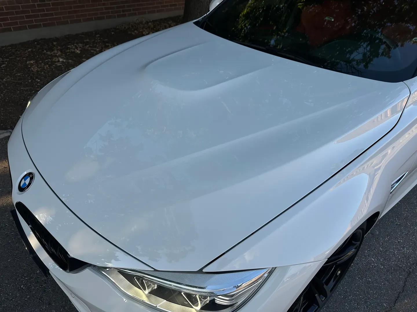 BMW M3 7 Speed DCT — photo 14