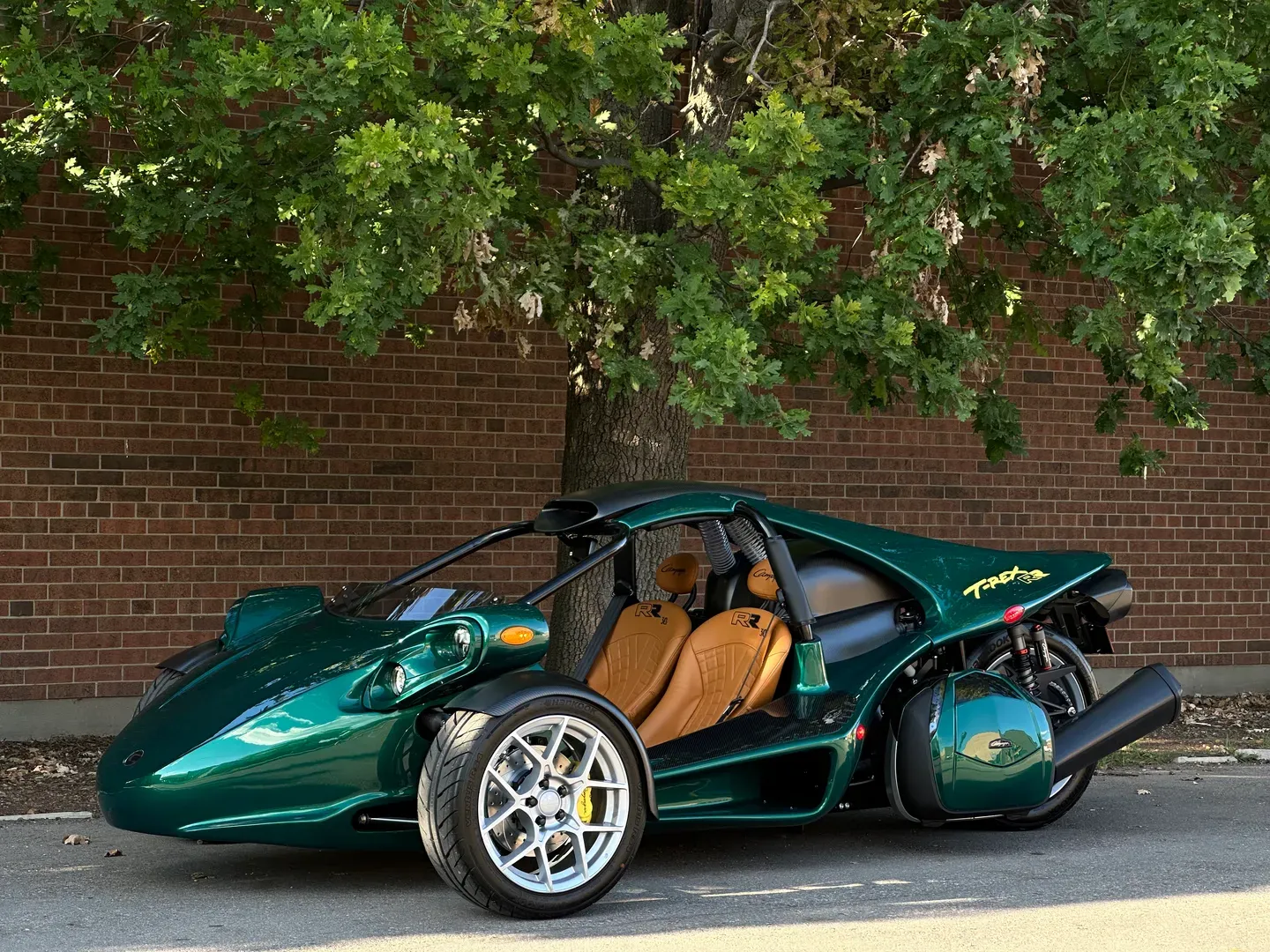 Campagna T-Rex RR 30th Anniversary 8/10 Limited Edition — photo 10