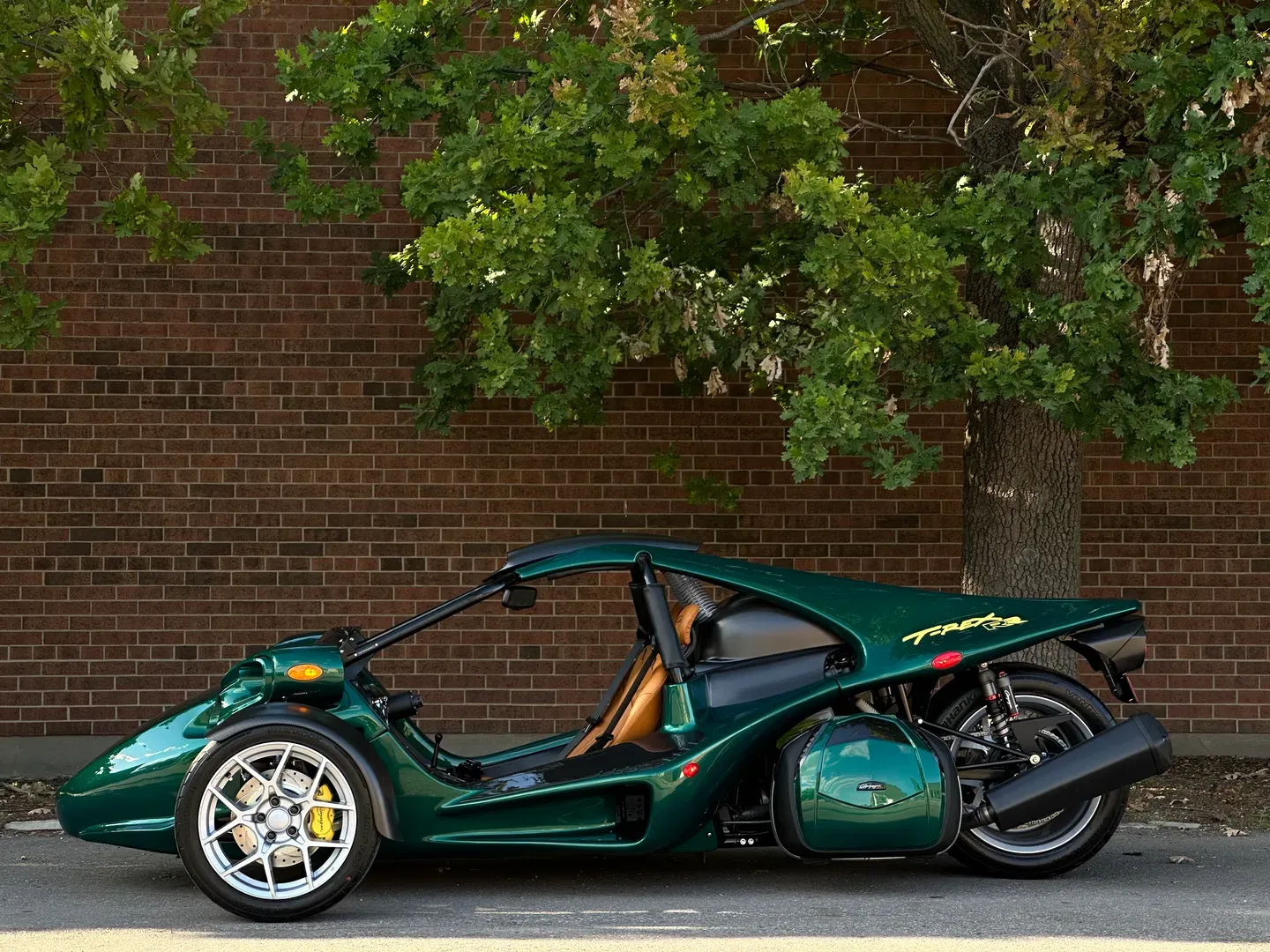 Campagna T-Rex RR 30th Anniversary 8/10 Limited Edition — photo 12