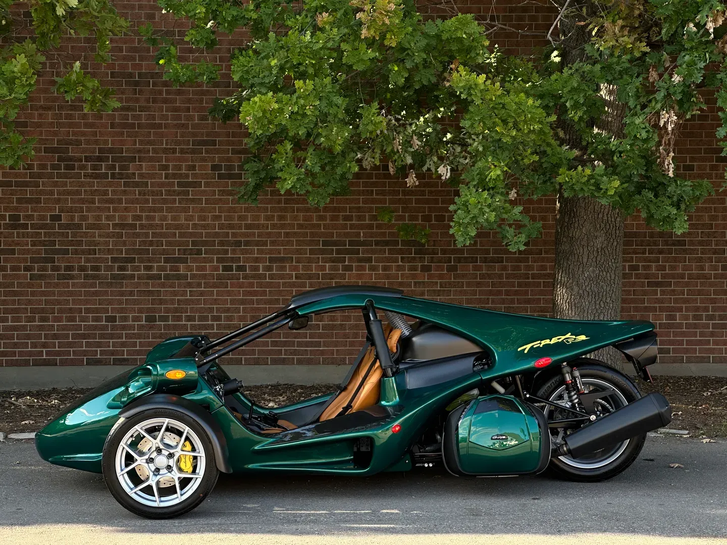 Campagna T-Rex RR 30th Anniversary 8/10 Limited Edition — photo 11