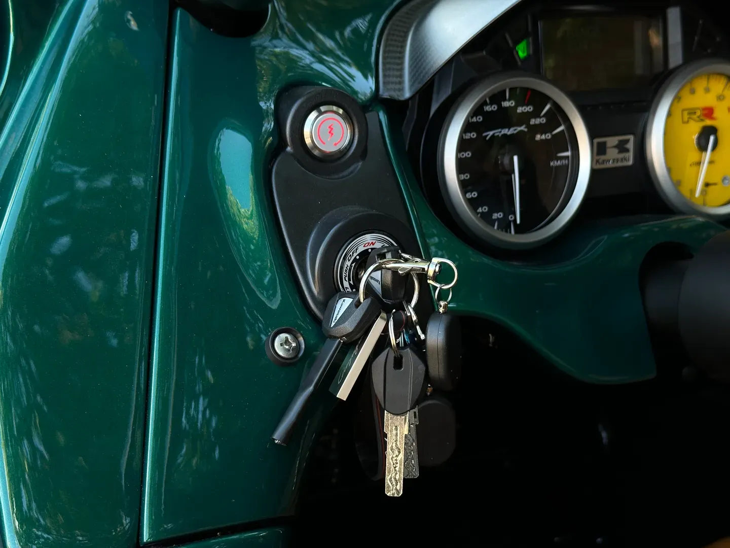 Campagna T-Rex RR 30th Anniversary 8/10 Limited Edition — photo 43