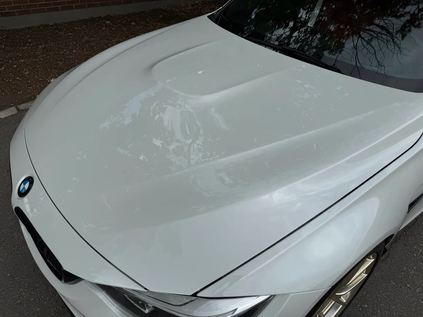 BMW M3 Competition 7 Speed DCT — photo 18