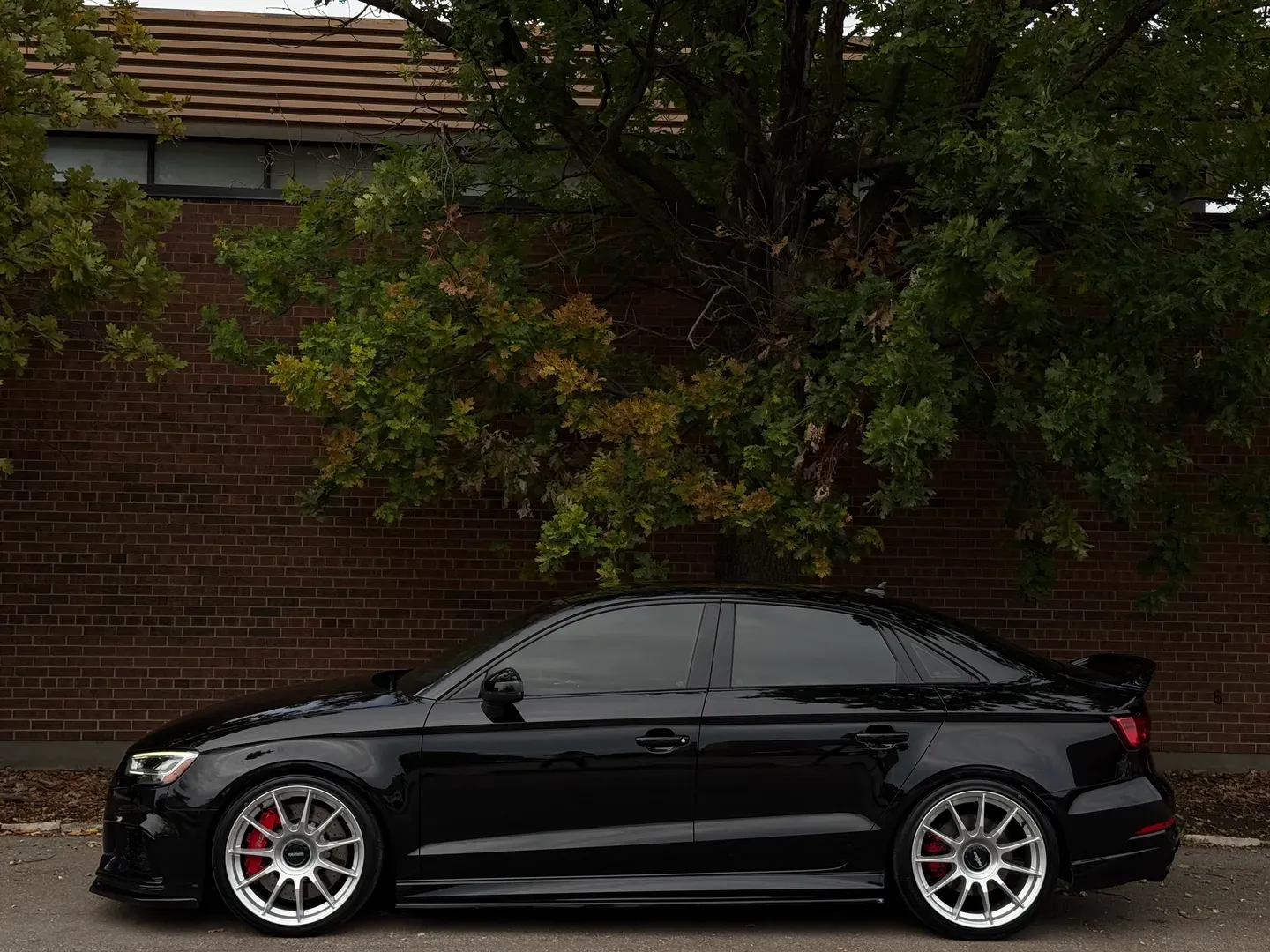 Audi RS3 — photo 9