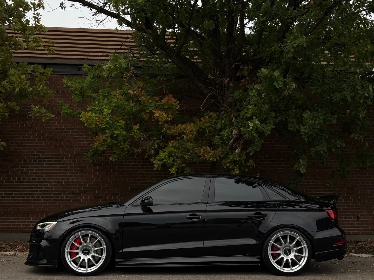 Audi RS3 — photo 10