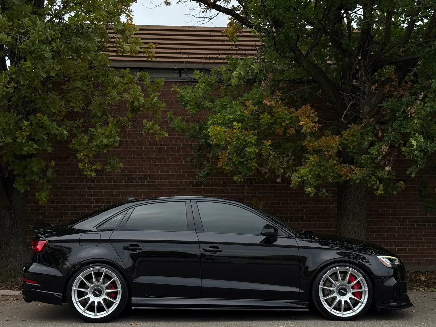 Audi RS3 — photo 100