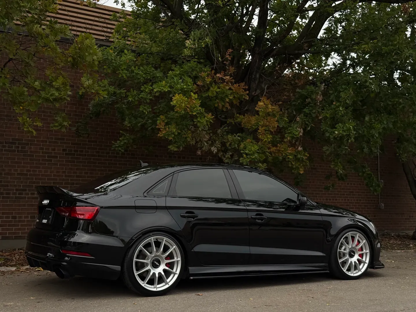 Audi RS3 — photo 99