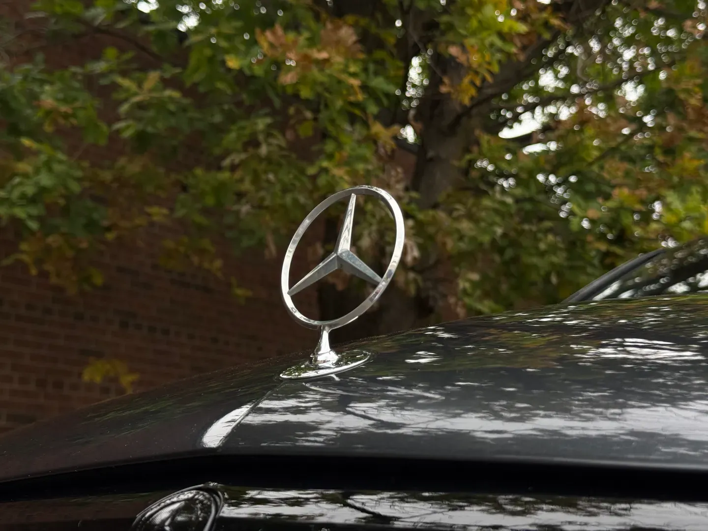 Mercedes Benz E63 AMG — photo 8