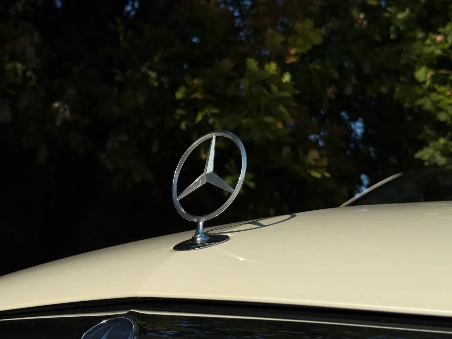 Mercedes Benz E63 AMG  — photo 8
