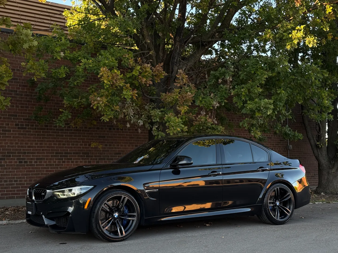 BMW M3 6 Speed Manual — photo 9