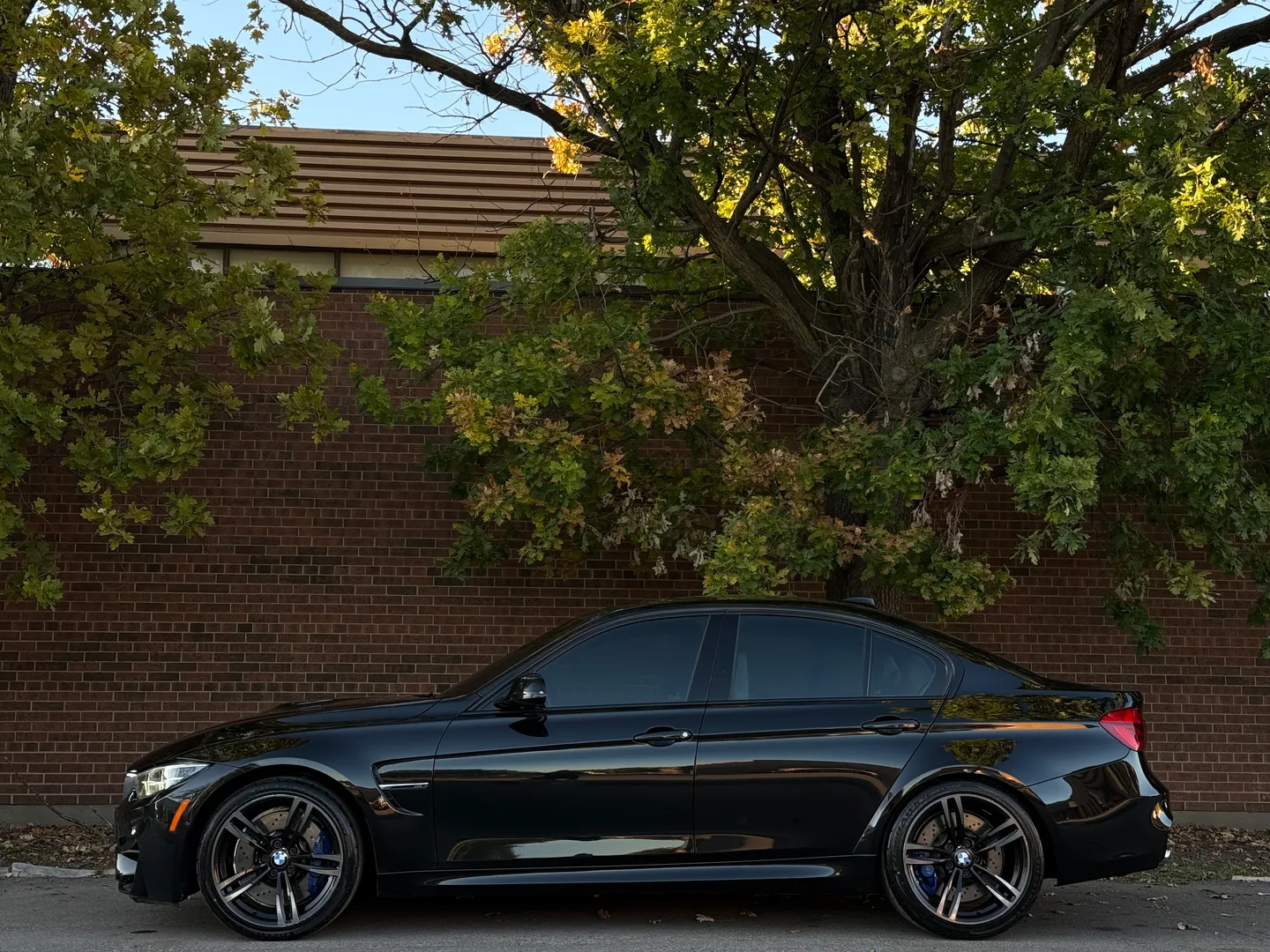 BMW M3 6 Speed Manual — photo 11