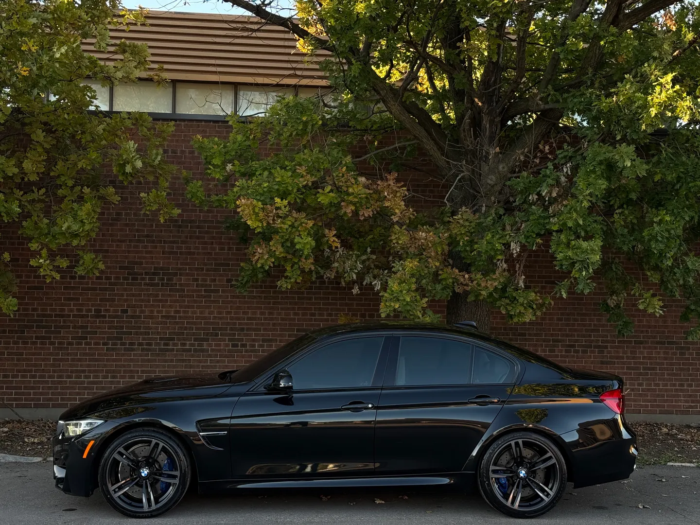 BMW M3 6 Speed Manual — photo 10