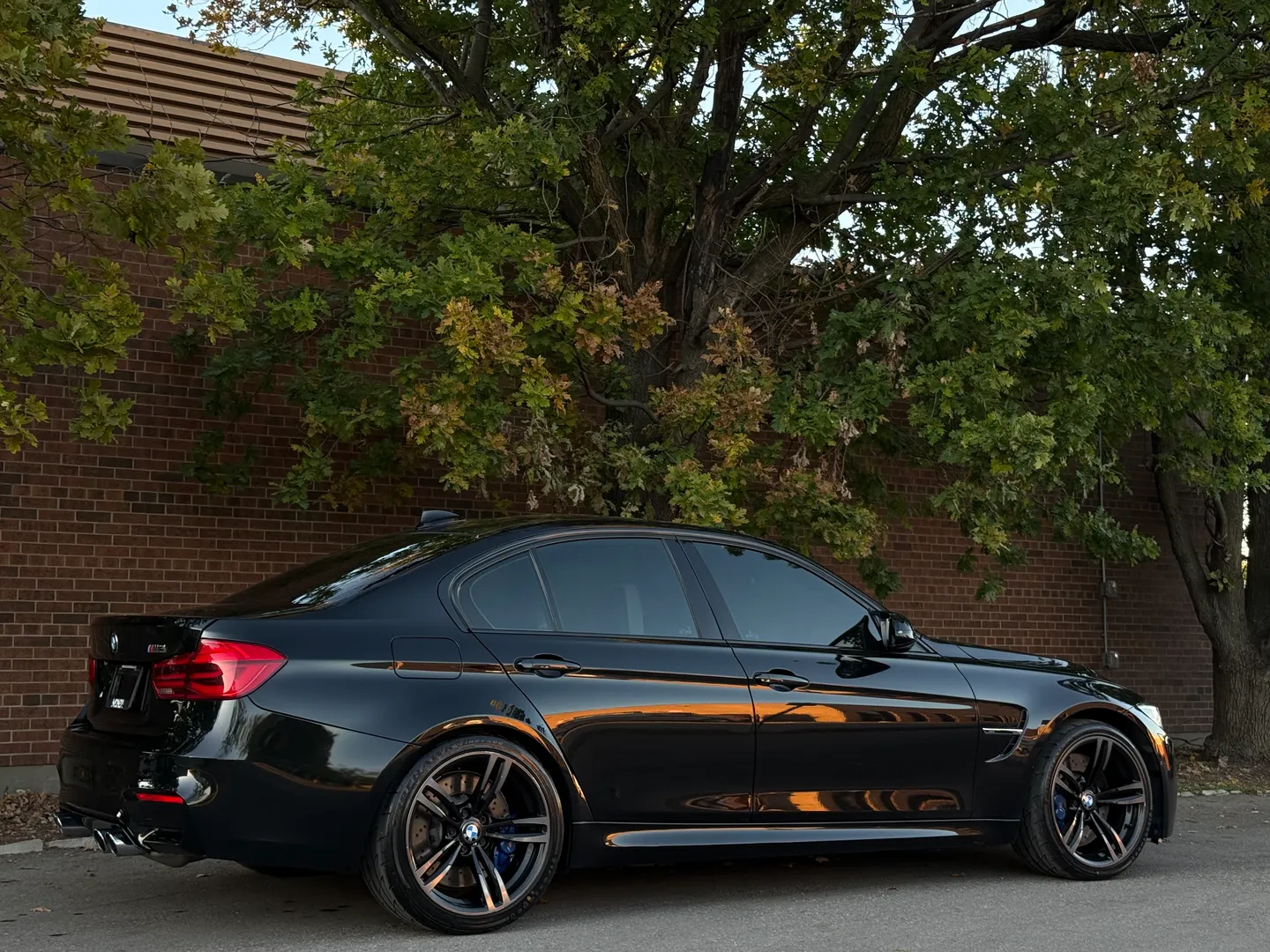BMW M3 6 Speed Manual — photo 92