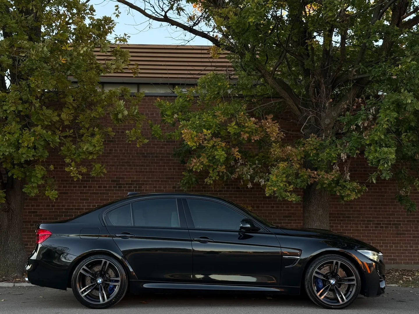 BMW M3 6 Speed Manual — photo 93