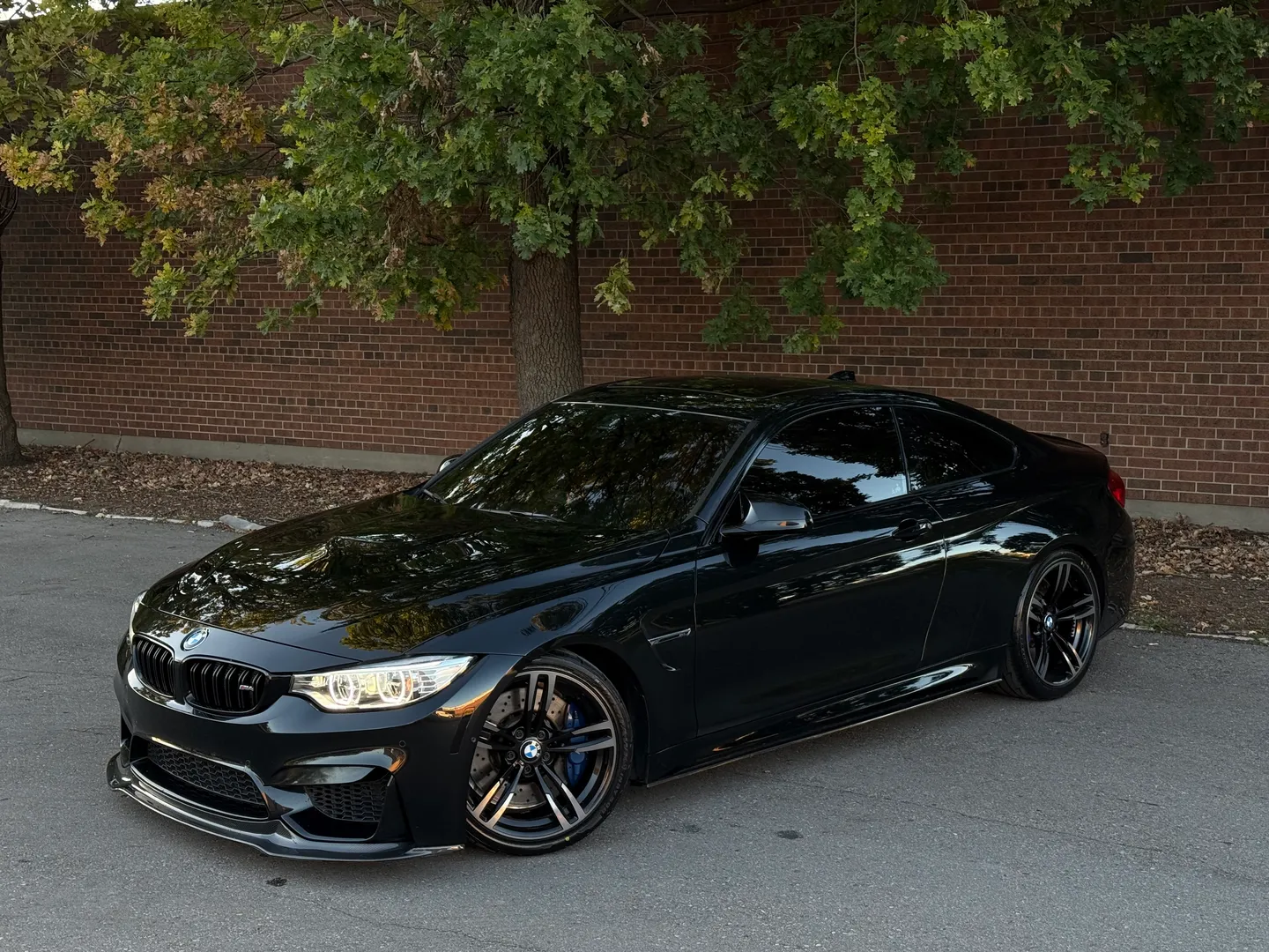 BMW M4 Coupe 6 Speed Manual — photo 2
