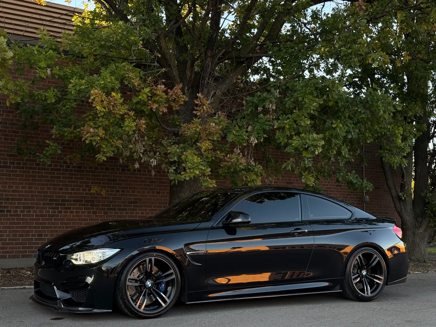 BMW M4 Coupe 6 Speed Manual — photo 10