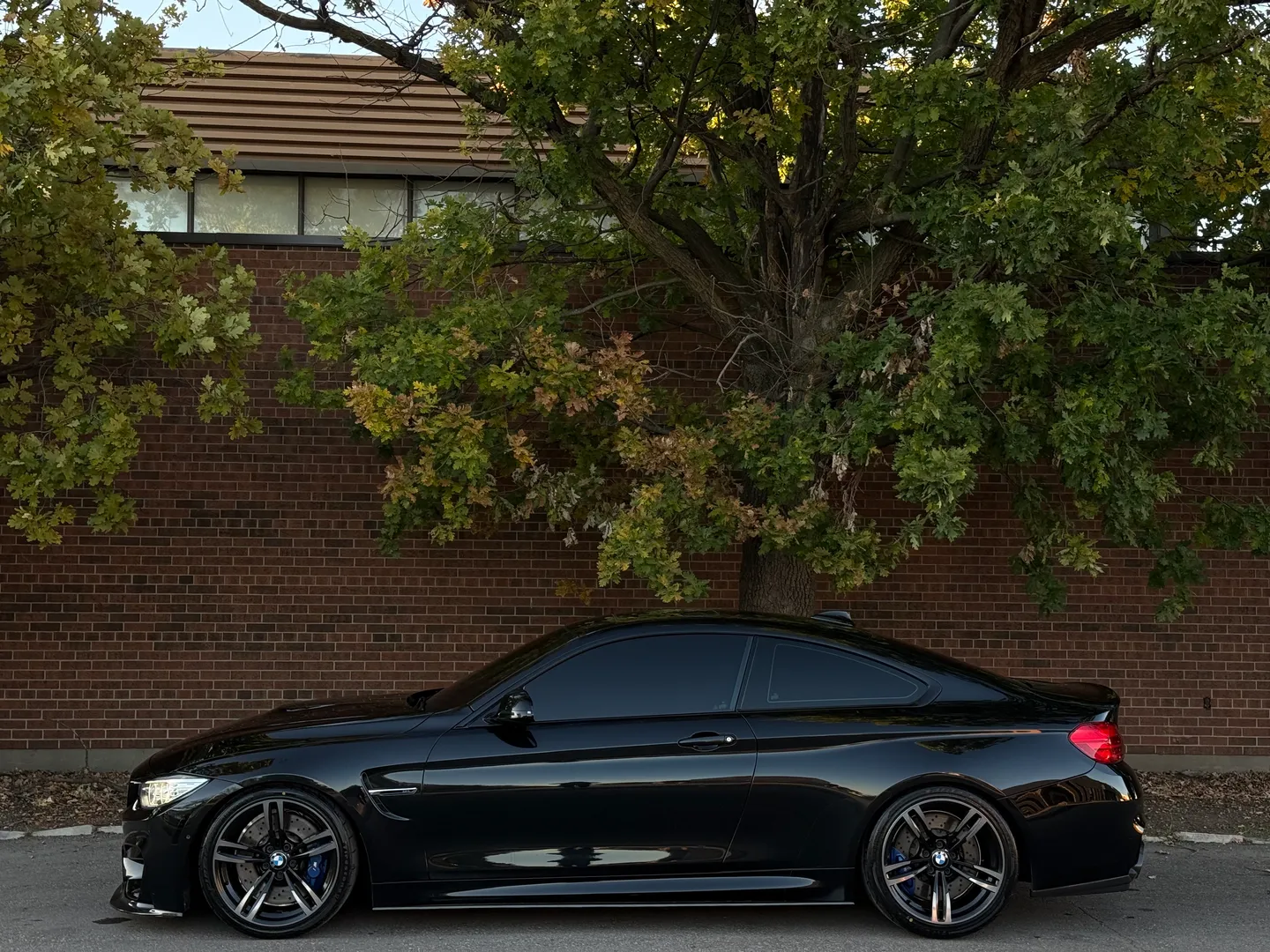 BMW M4 Coupe 6 Speed Manual — photo 11