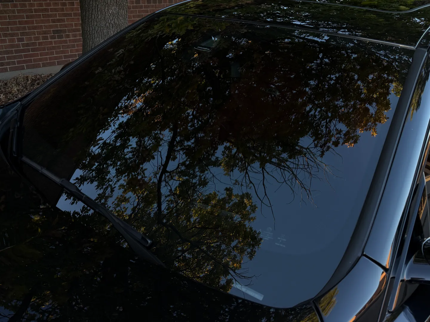 BMW M4 Coupe 6 Speed Manual — photo 19
