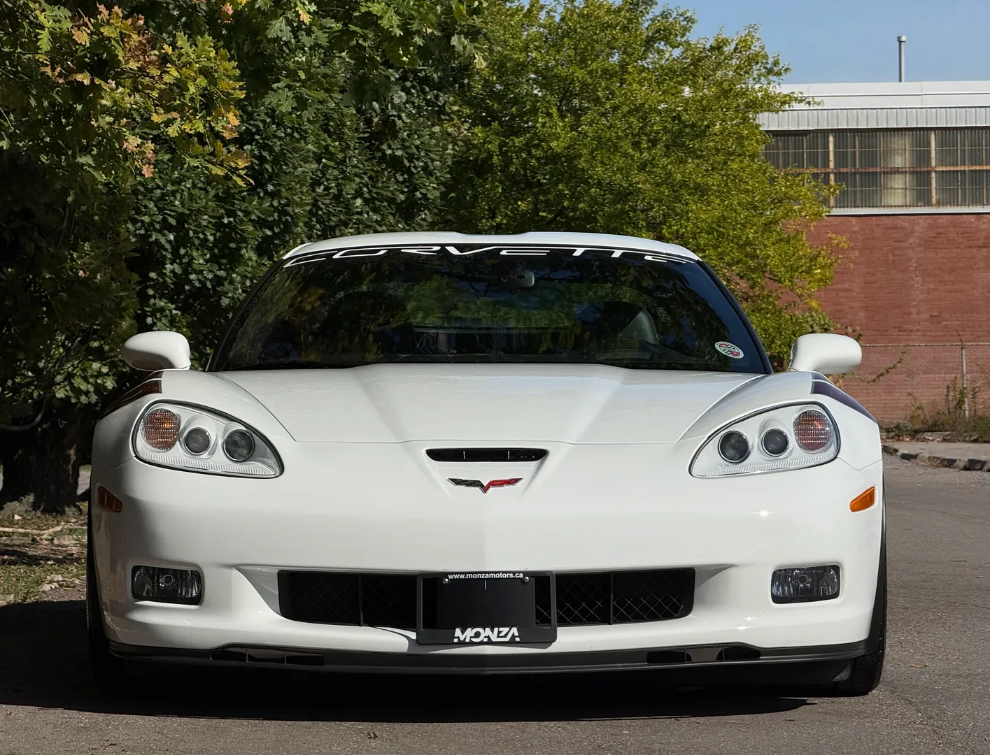 Chevrolet Corvette Z06 Ron Fellows Edition 374/399  — photo 5