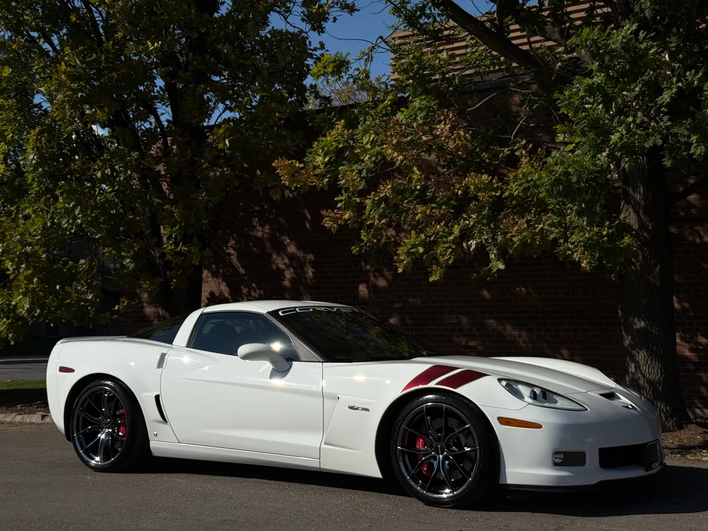 Chevrolet Corvette Z06 Ron Fellows Edition 374/399  — photo 93