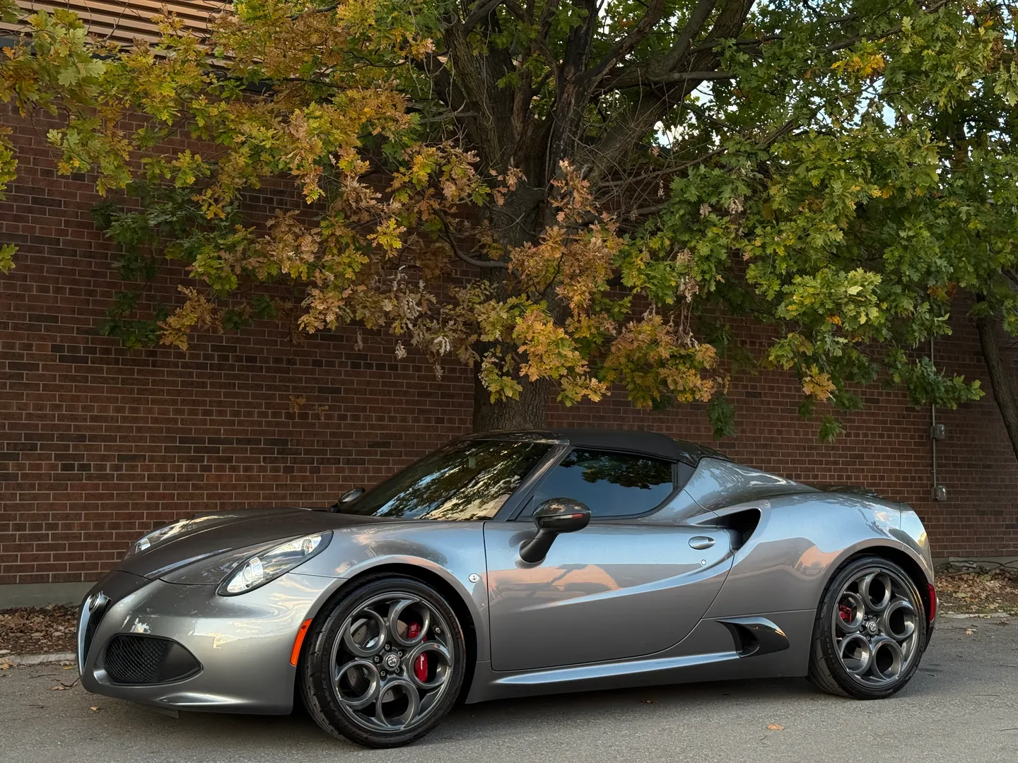 Alfa Romeo 4C Spider — photo 9