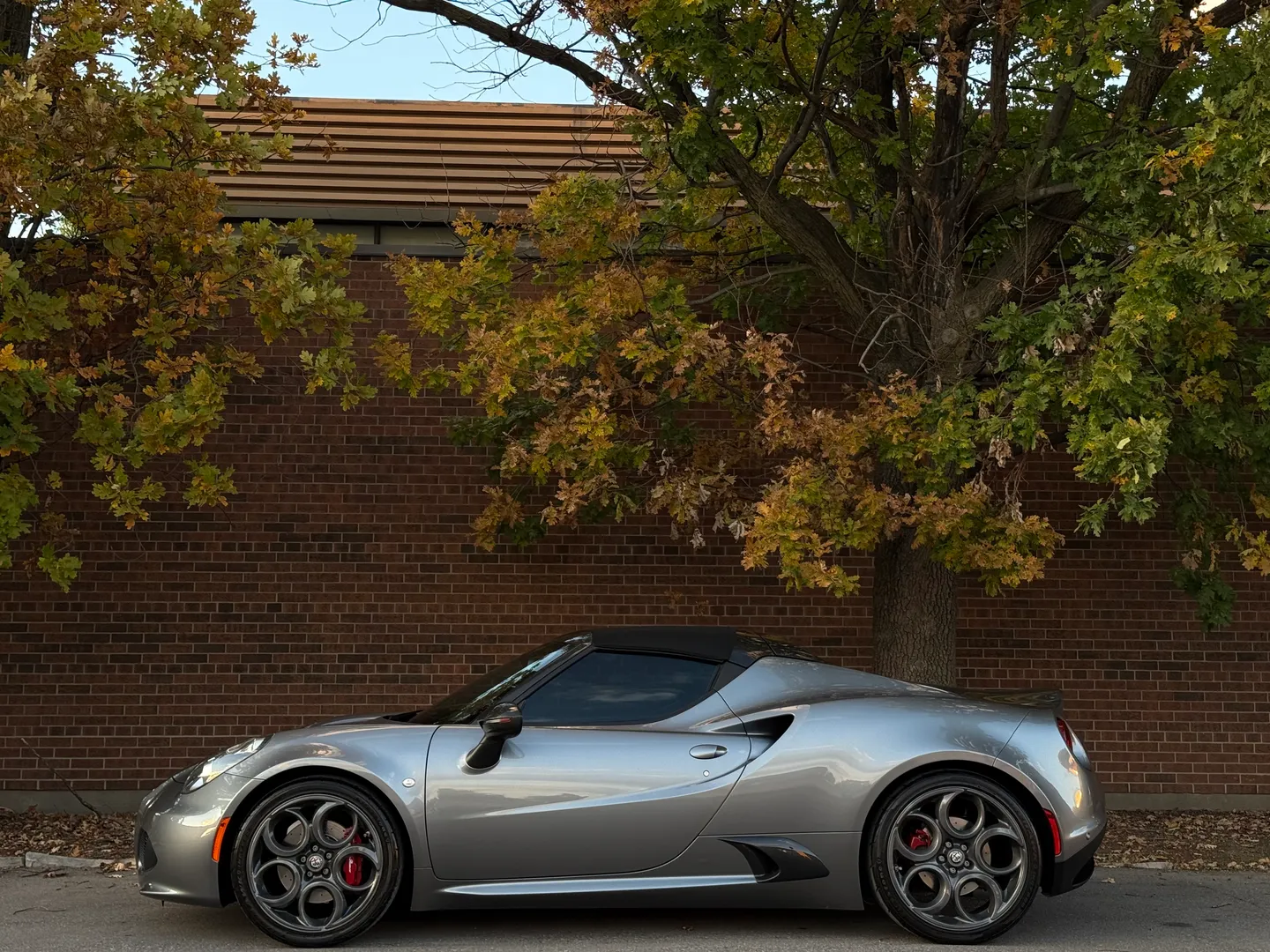 Alfa Romeo 4C Spider — photo 11