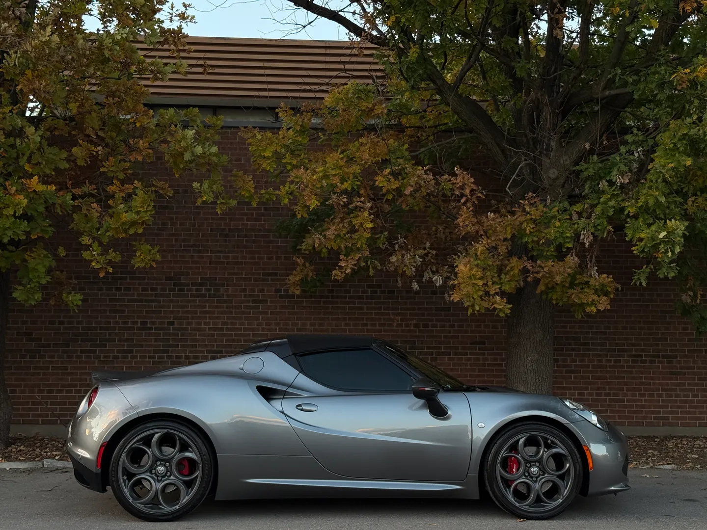 Alfa Romeo 4C Spider — photo 73