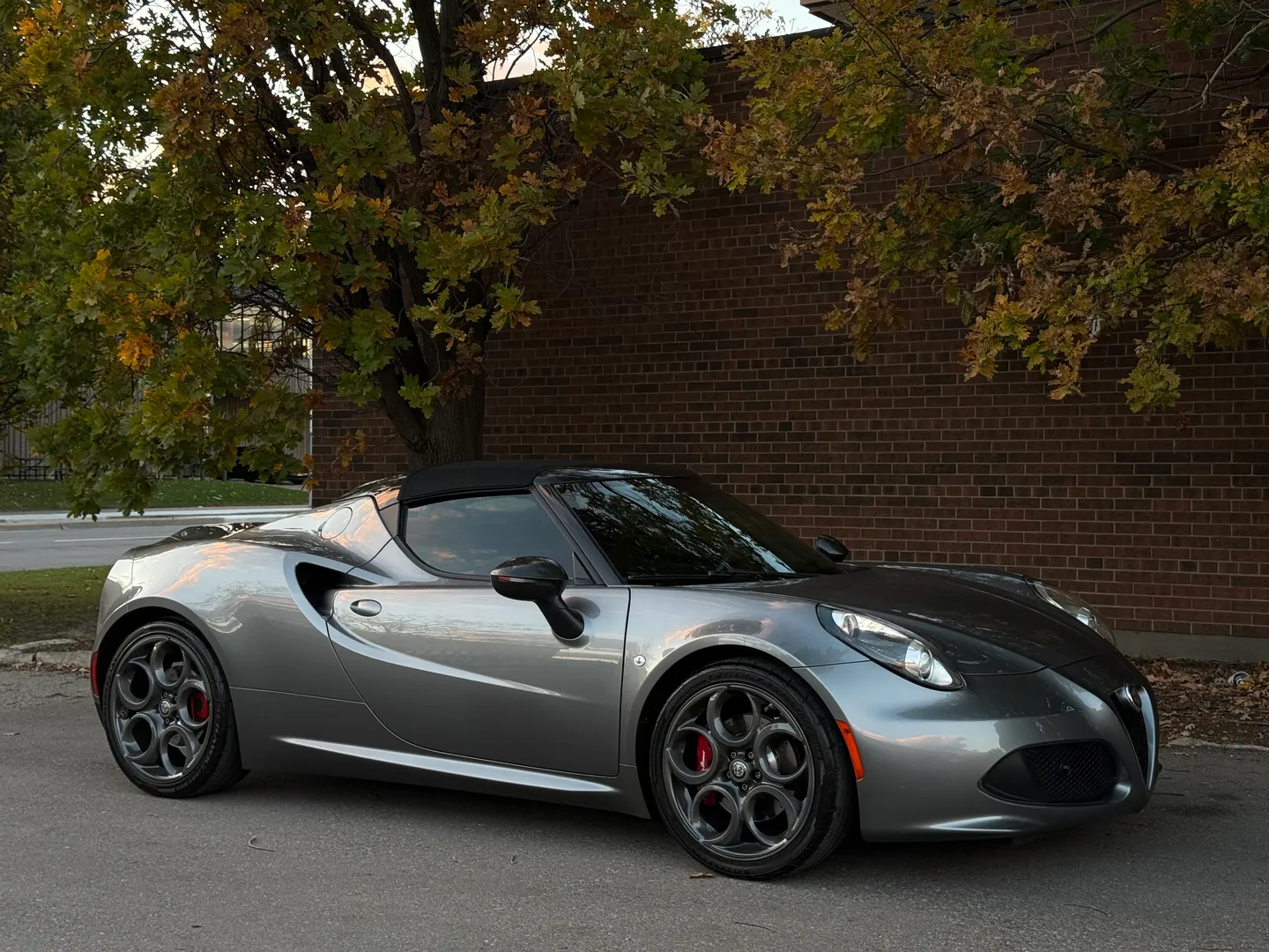 Alfa Romeo 4C Spider — photo 76