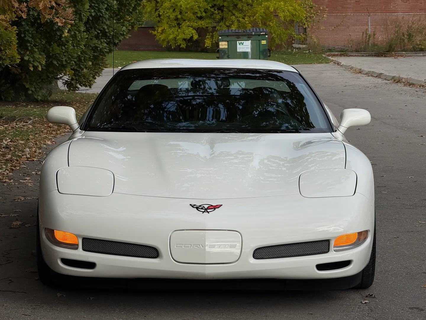 Chevrolet Corvette Z06 Rare Speedway White Collector Grade — photo 4