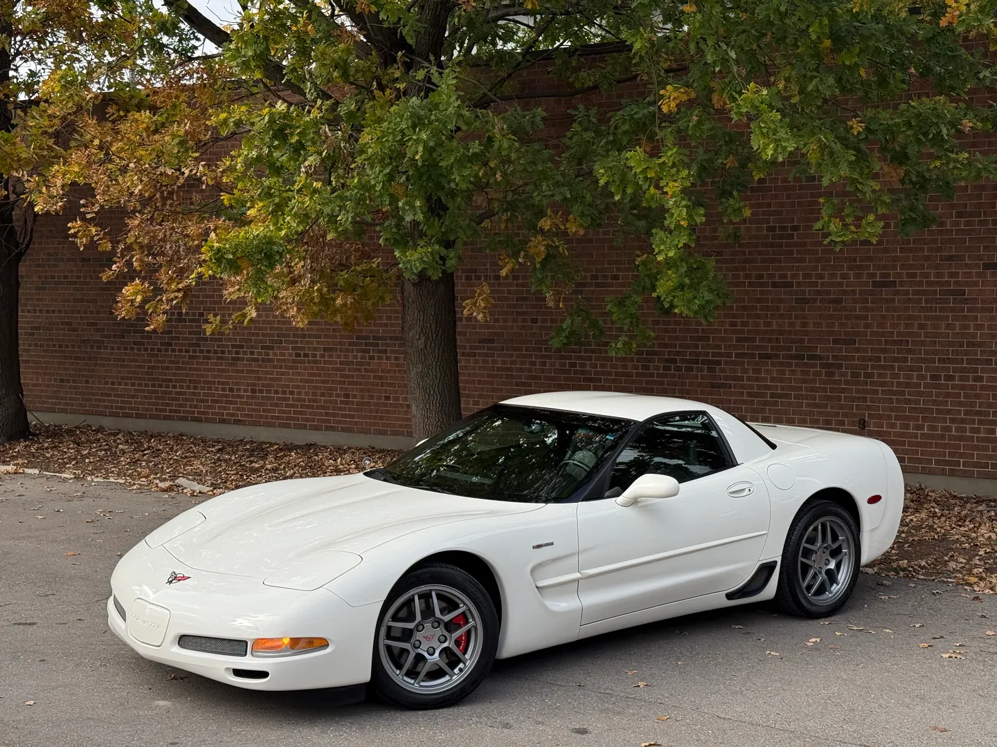Chevrolet Corvette Z06 Rare Speedway White Collector Grade — photo 2