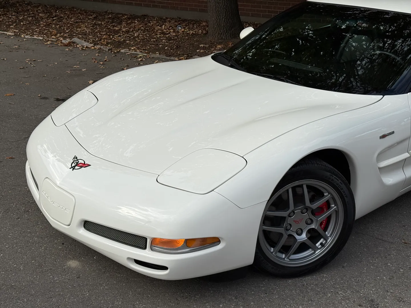 Chevrolet Corvette Z06 Rare Speedway White Collector Grade — photo 3