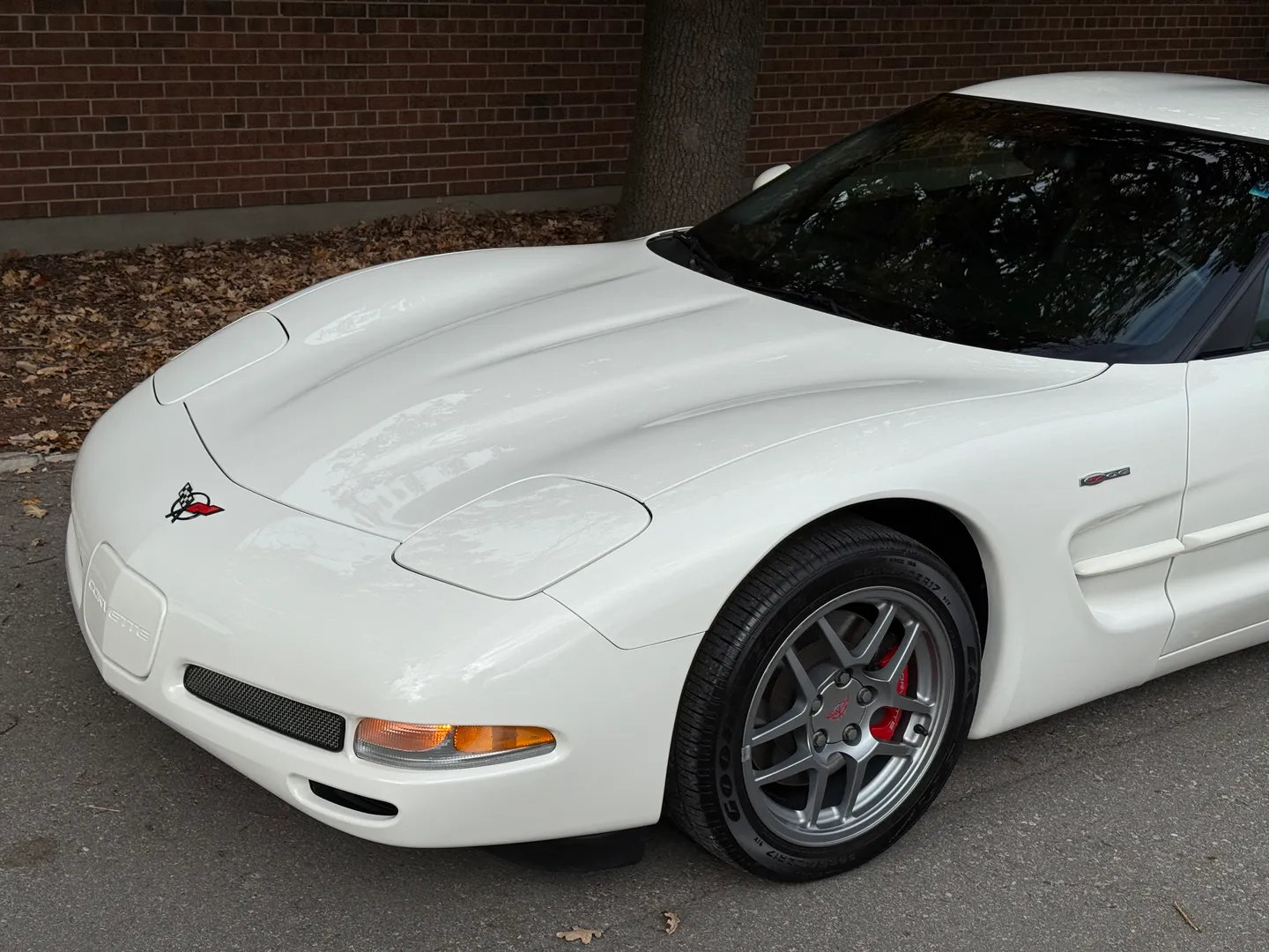 Chevrolet Corvette Z06 Rare Speedway White Collector Grade — photo 6