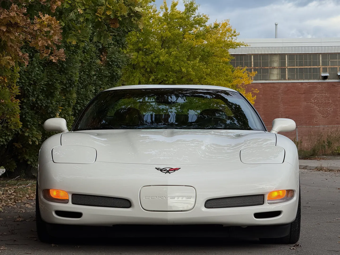 Chevrolet Corvette Z06 Rare Speedway White Collector Grade — photo 5