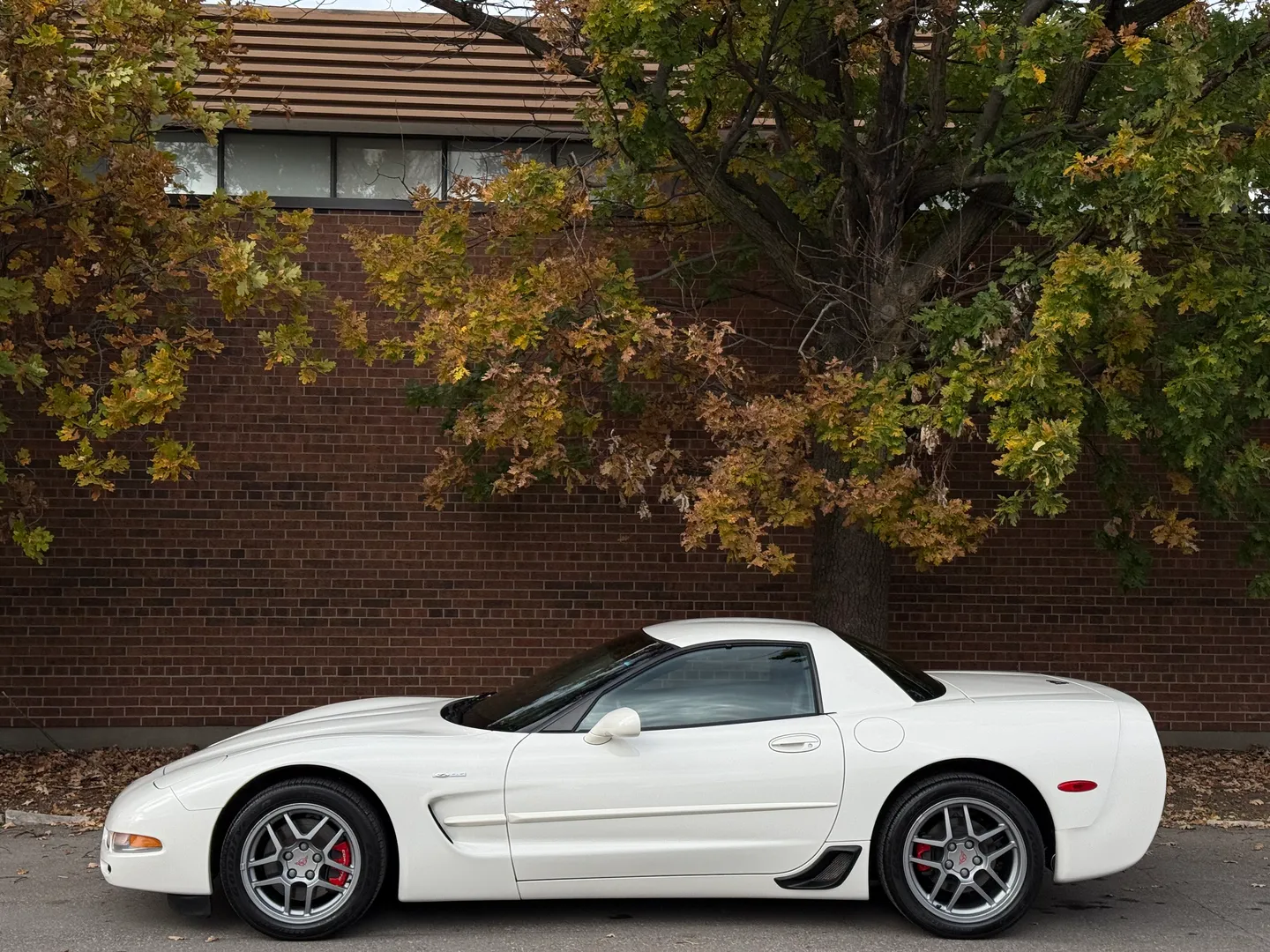 Chevrolet Corvette Z06 Rare Speedway White Collector Grade — photo 13