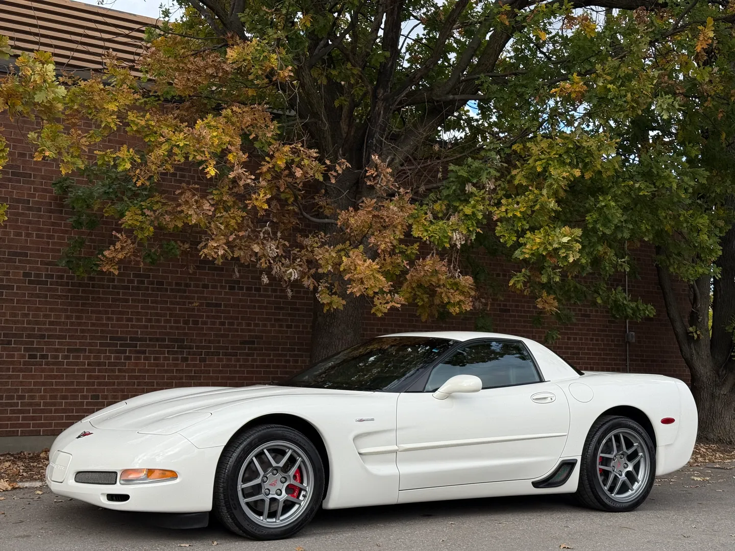 Chevrolet Corvette Z06 Rare Speedway White Collector Grade — photo 12