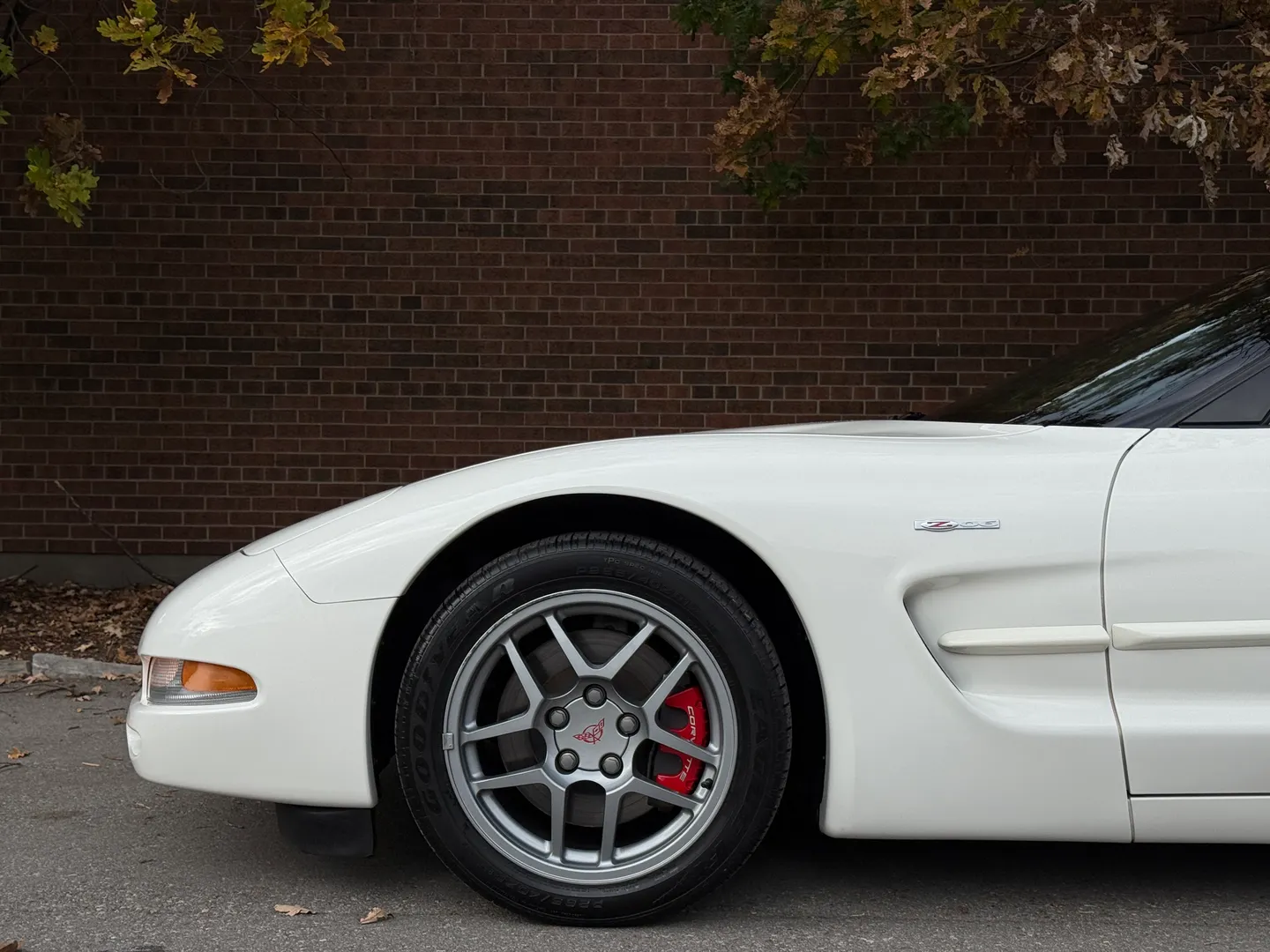 Chevrolet Corvette Z06 Rare Speedway White Collector Grade — photo 15
