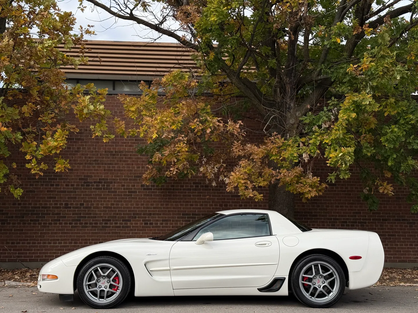 Chevrolet Corvette Z06 Rare Speedway White Collector Grade — photo 14