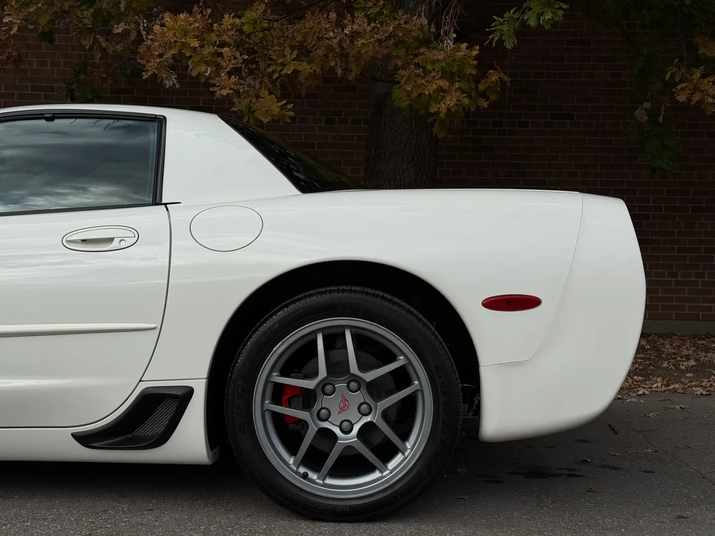 Chevrolet Corvette Z06 Rare Speedway White Collector Grade — photo 16