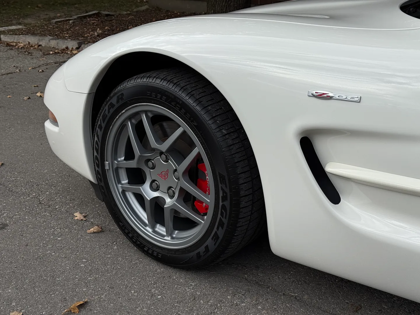 Chevrolet Corvette Z06 Rare Speedway White Collector Grade — photo 17