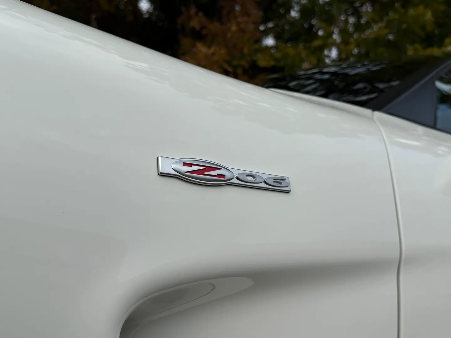 Chevrolet Corvette Z06 Rare Speedway White Collector Grade — photo 22