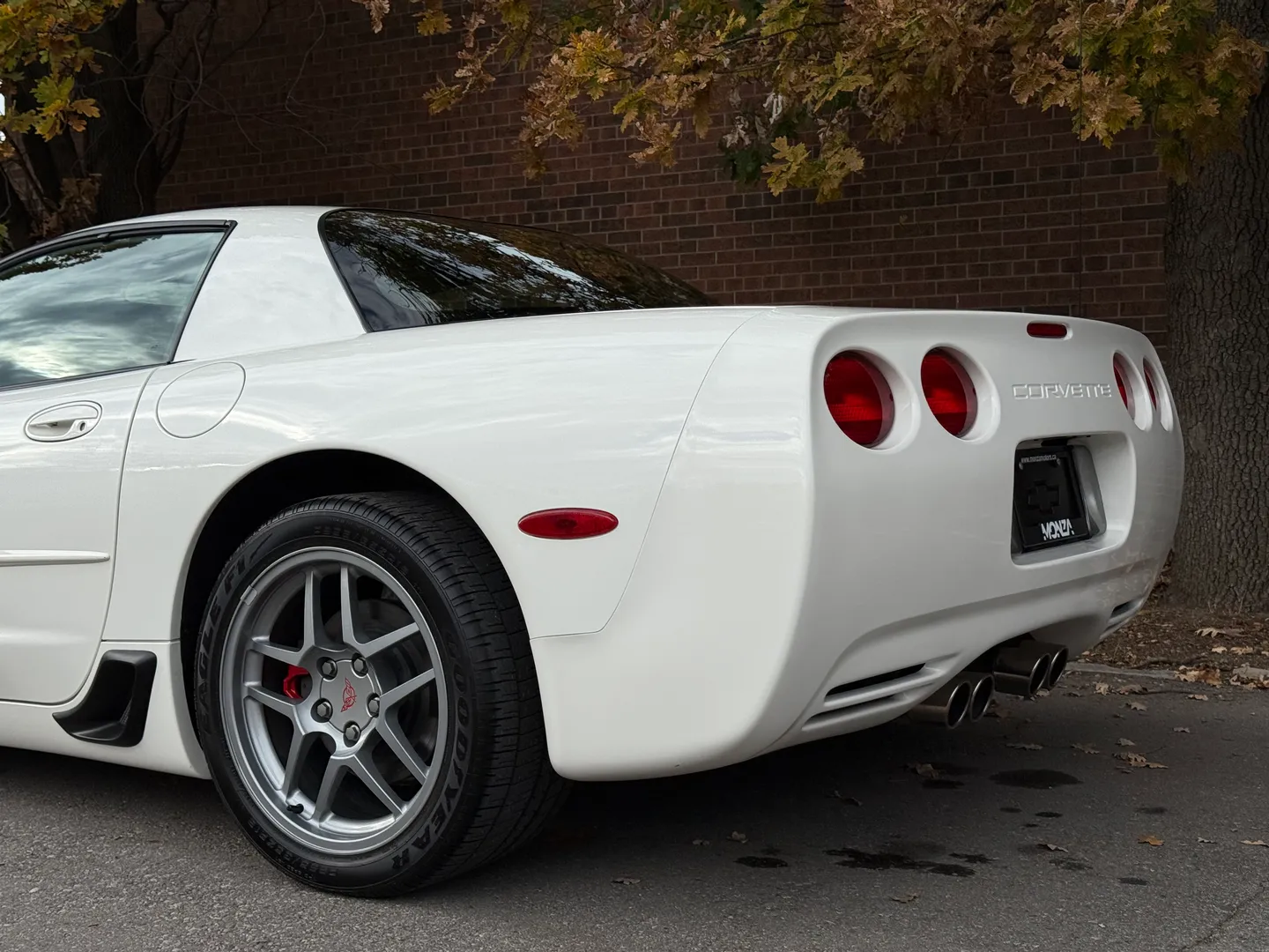 Chevrolet Corvette Z06 Rare Speedway White Collector Grade — photo 28