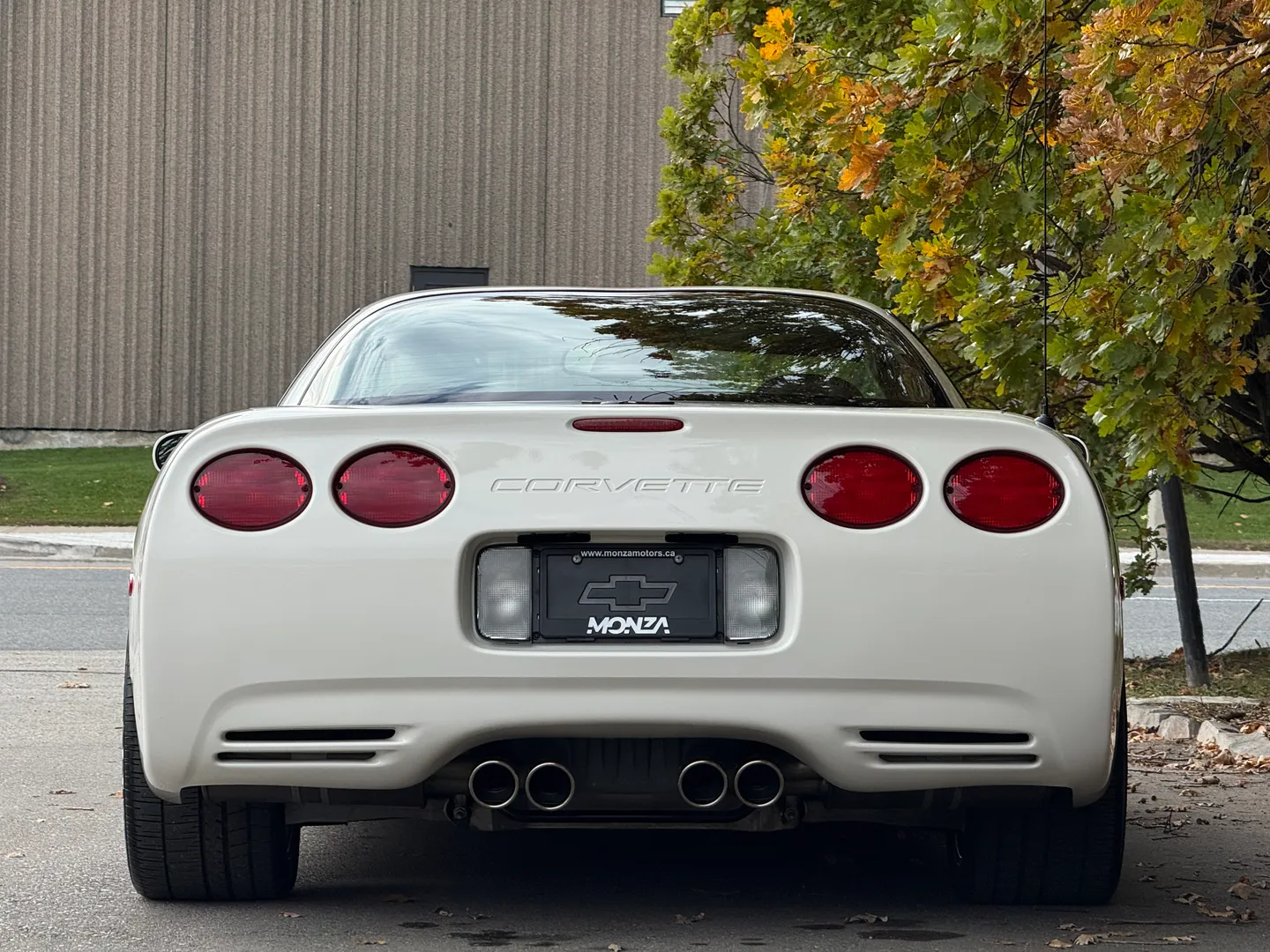 Chevrolet Corvette Z06 Rare Speedway White Collector Grade — photo 30