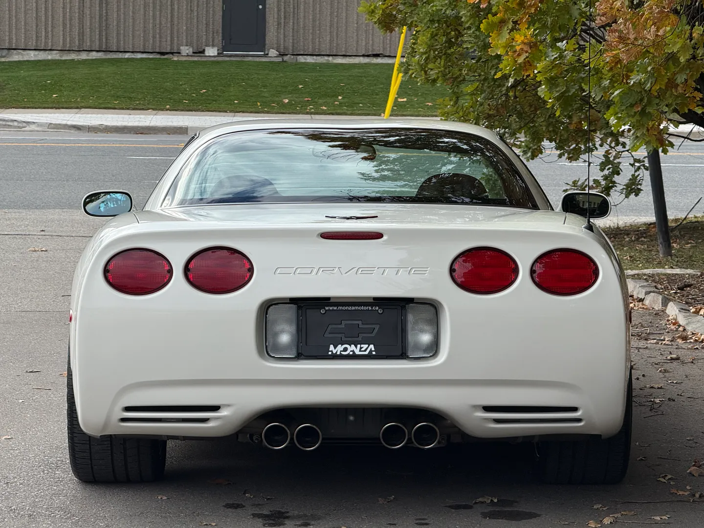 Chevrolet Corvette Z06 Rare Speedway White Collector Grade — photo 29