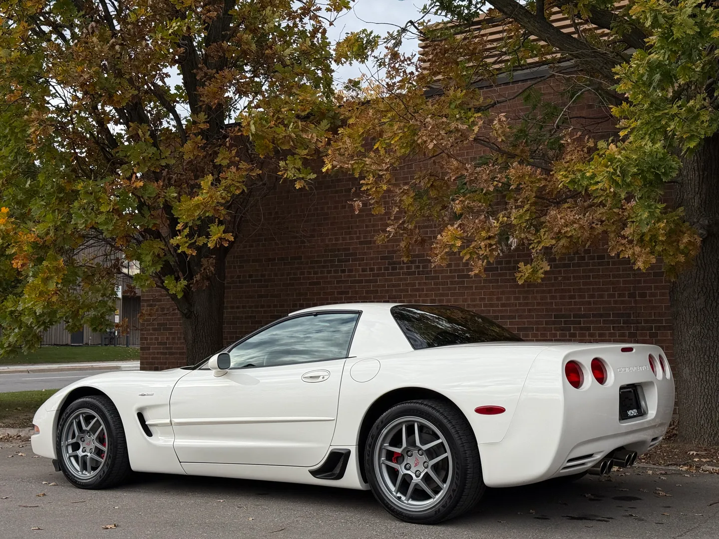 Chevrolet Corvette Z06 Rare Speedway White Collector Grade — photo 27