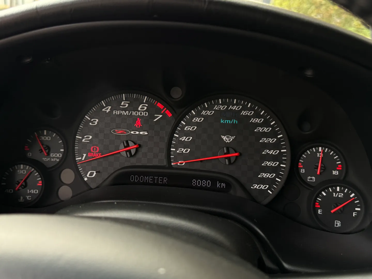 Chevrolet Corvette Z06 Rare Speedway White Collector Grade — photo 76