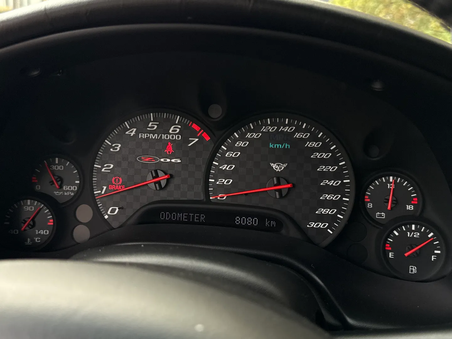 Chevrolet Corvette Z06 Rare Speedway White Collector Grade — photo 77