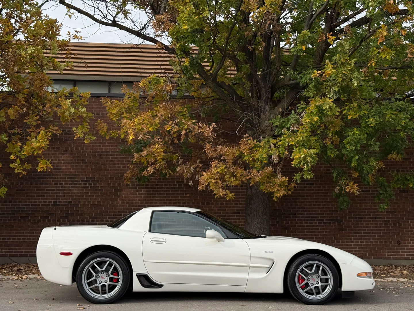 Chevrolet Corvette Z06 Rare Speedway White Collector Grade — photo 87