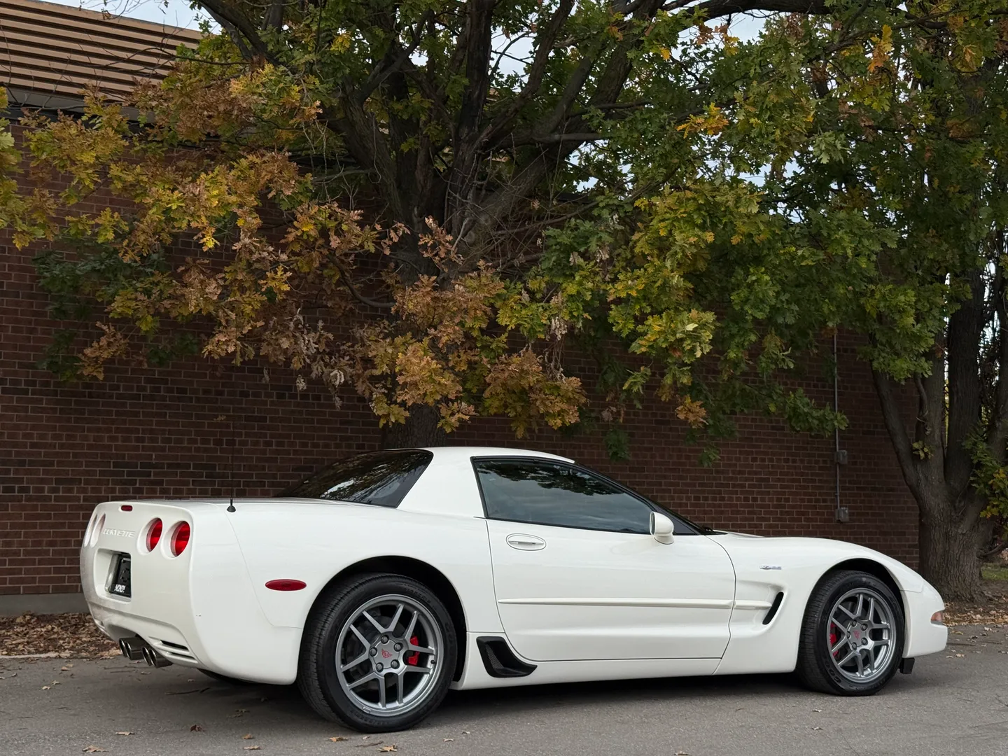 Chevrolet Corvette Z06 Rare Speedway White Collector Grade — photo 86